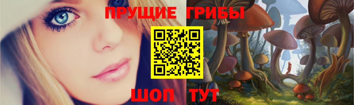 Галлюциногенные грибы Magic Shrooms  Псилоцибиновые грибы прущие грибы  Кудрово  Вход с VPN 
